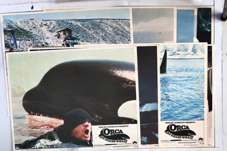 Orca richard promo harris