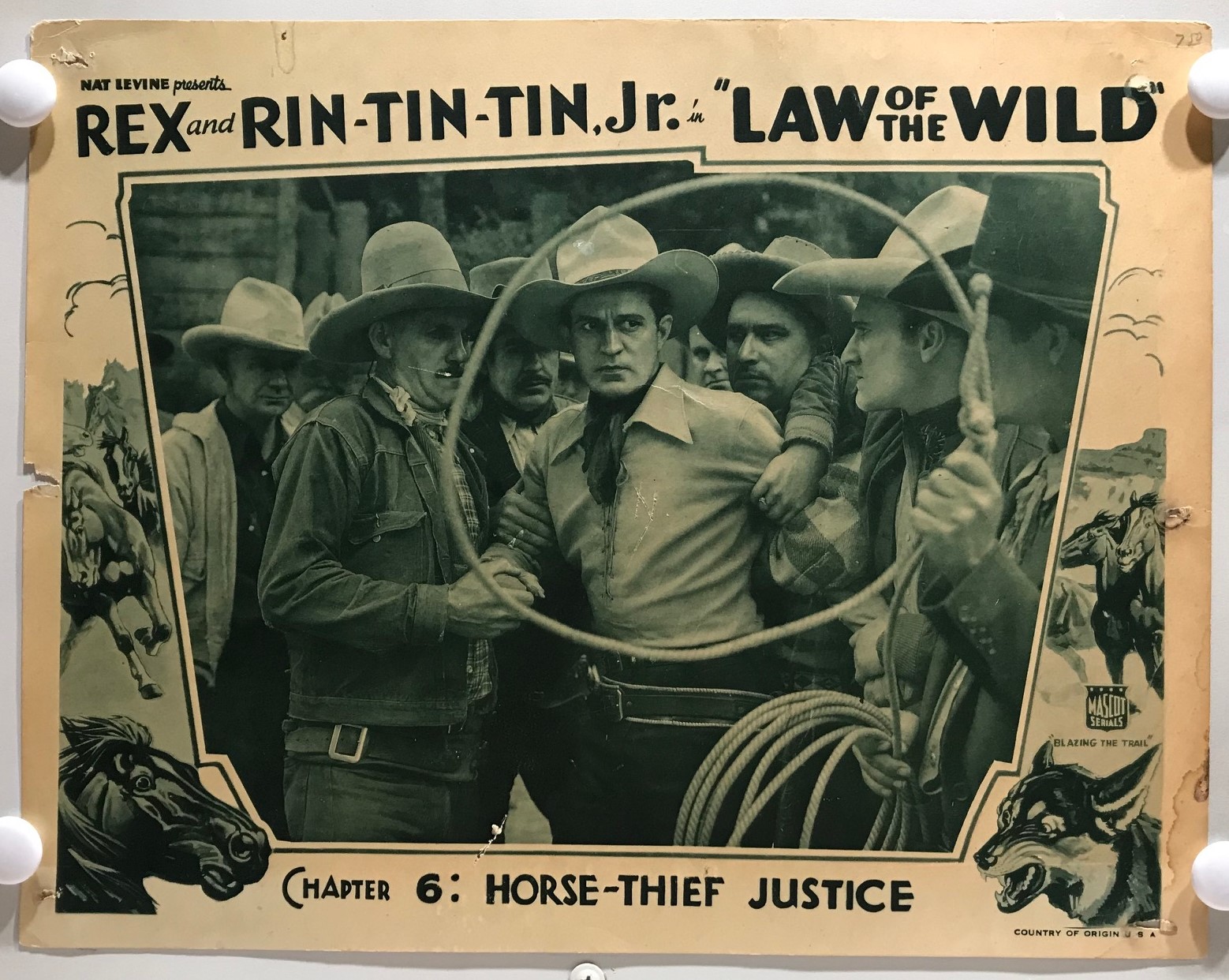 ORIGINAL SERIAL LOBBY CARD - LAW OF THE WILD (a) - 1934 - ft Rex and ...